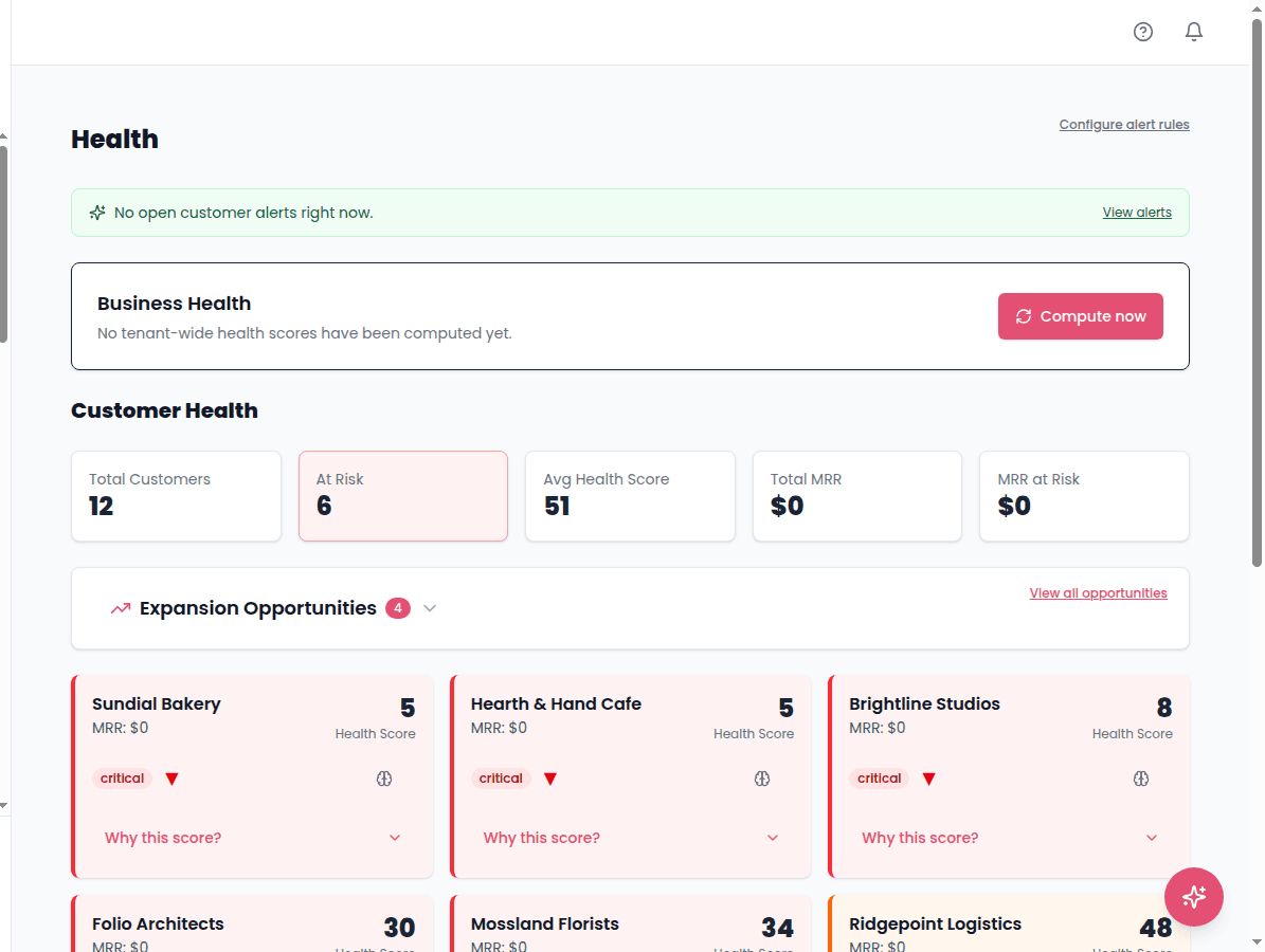 SaaSy health dashboard overview with stats and critical customer cards